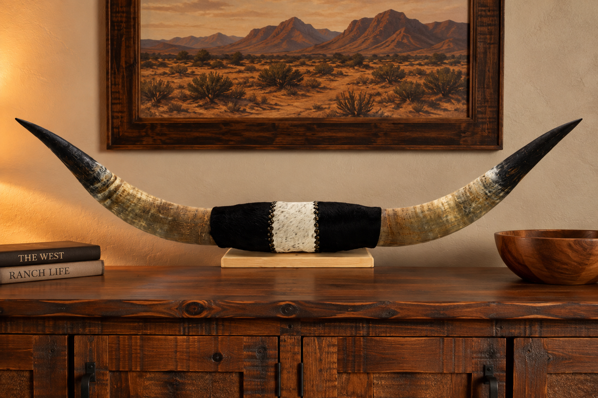 Authentic USA Made Mounted Steer Horns (34" Span)