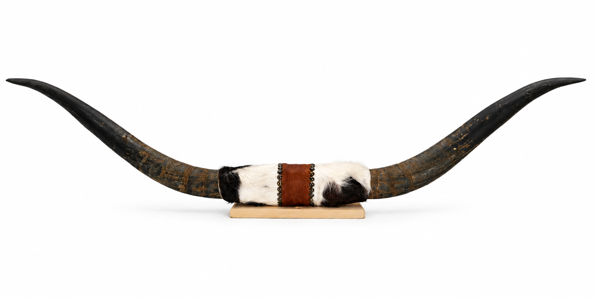 Authentic USA Made Mounted Steer Horns (38.5" Span)