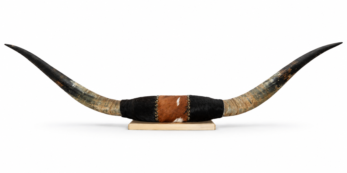 Authentic USA Made Mounted Steer Horns (38.5" Span)